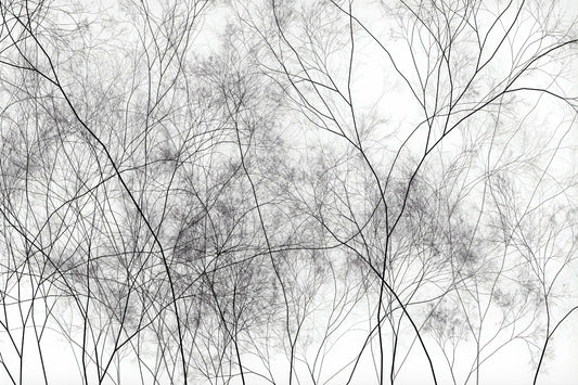 木静脈アートの壁紙の壁画