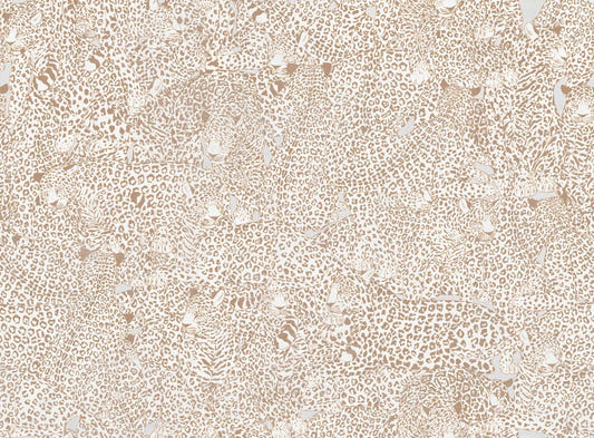 Cheetah Druckwallpaper