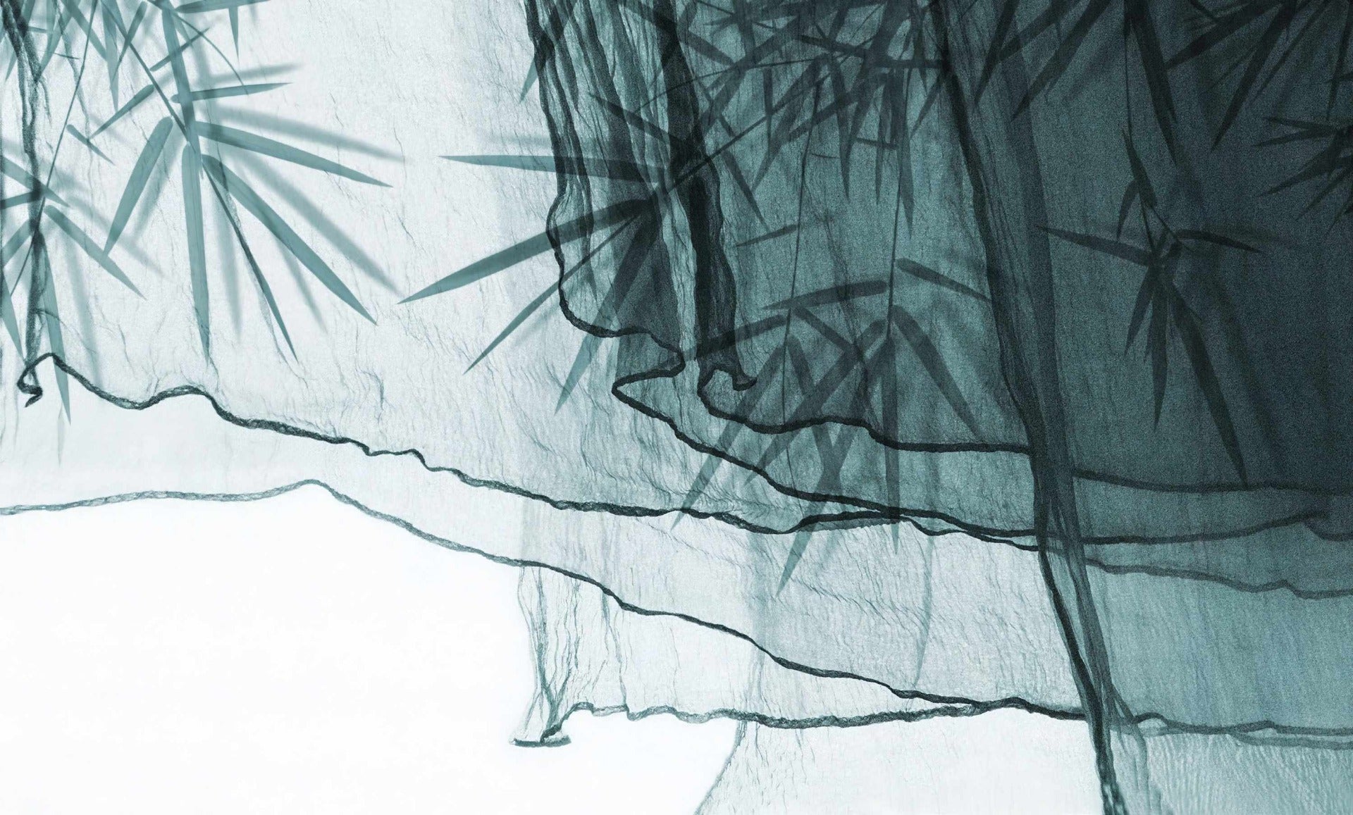 Transparent Elegance Textile Wall Mural in your room — zoomed