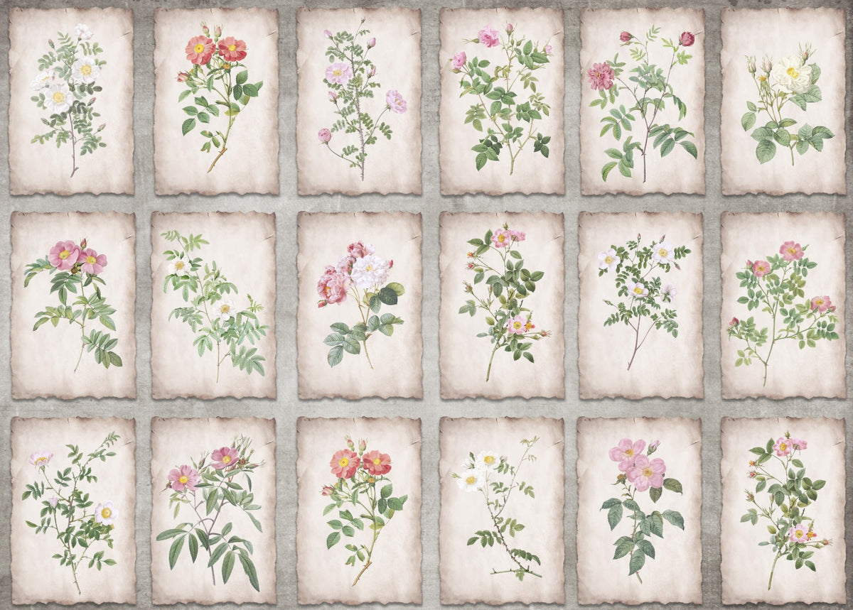 Heritage Botanicals oprawione na ścienne mural in your room — zoomed