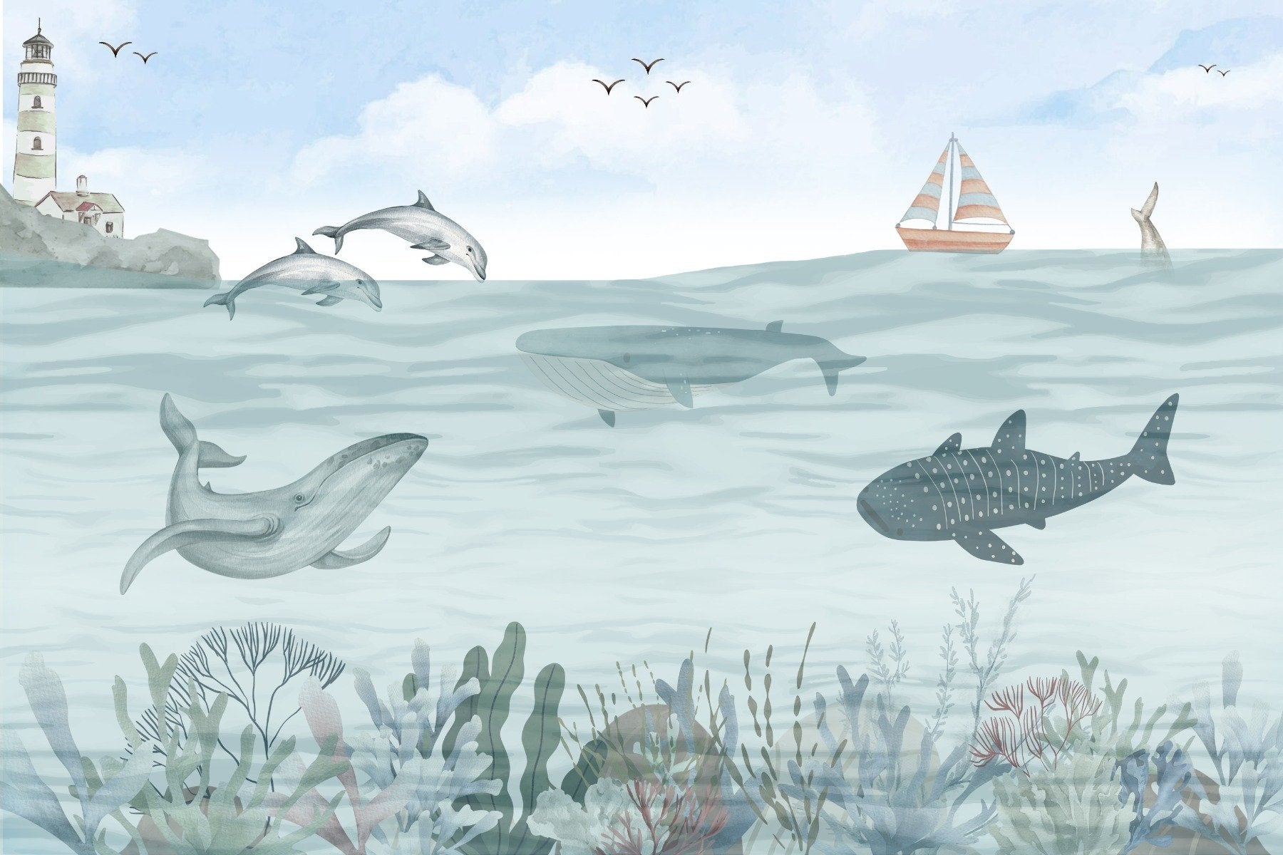 Seaside Orca Whale -taustakuva in your room — zoomed