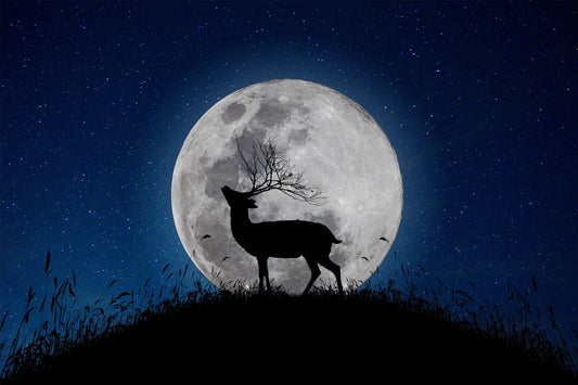 Skyward Stag Mondwächter Halloween Night Wallpaper Wandbild