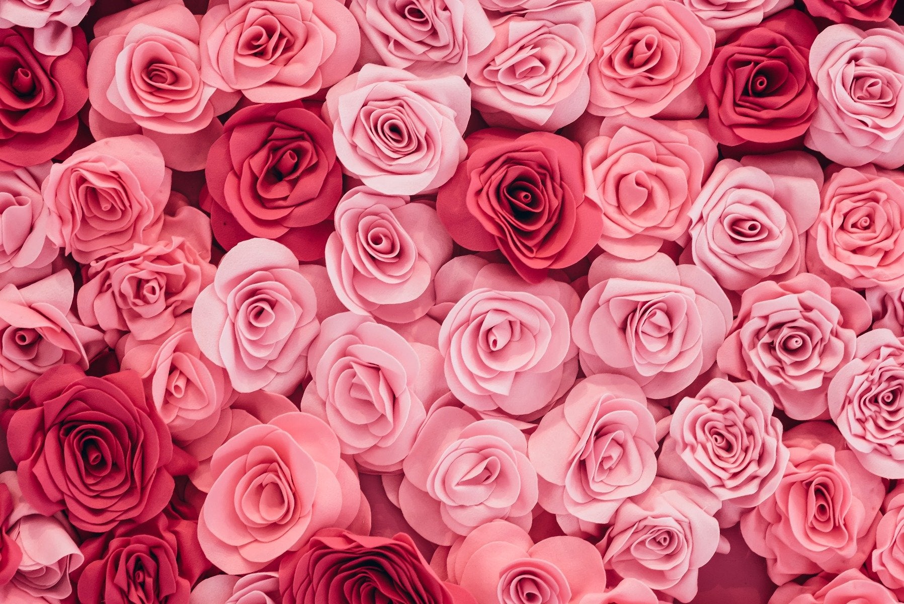 Tapet de trandafiri roz in your room — zoomed