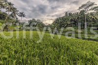 Bali Harvest Wall Mural