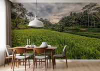 Bali Harvest Wall Mural