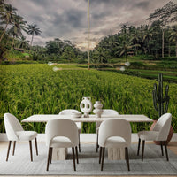 Bali Harvest Wall Mural