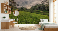 Bali Harvest Wall Mural