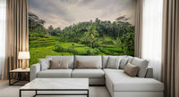 Outdoor scene Bali Rice Terraces decorative peel stick mural.
