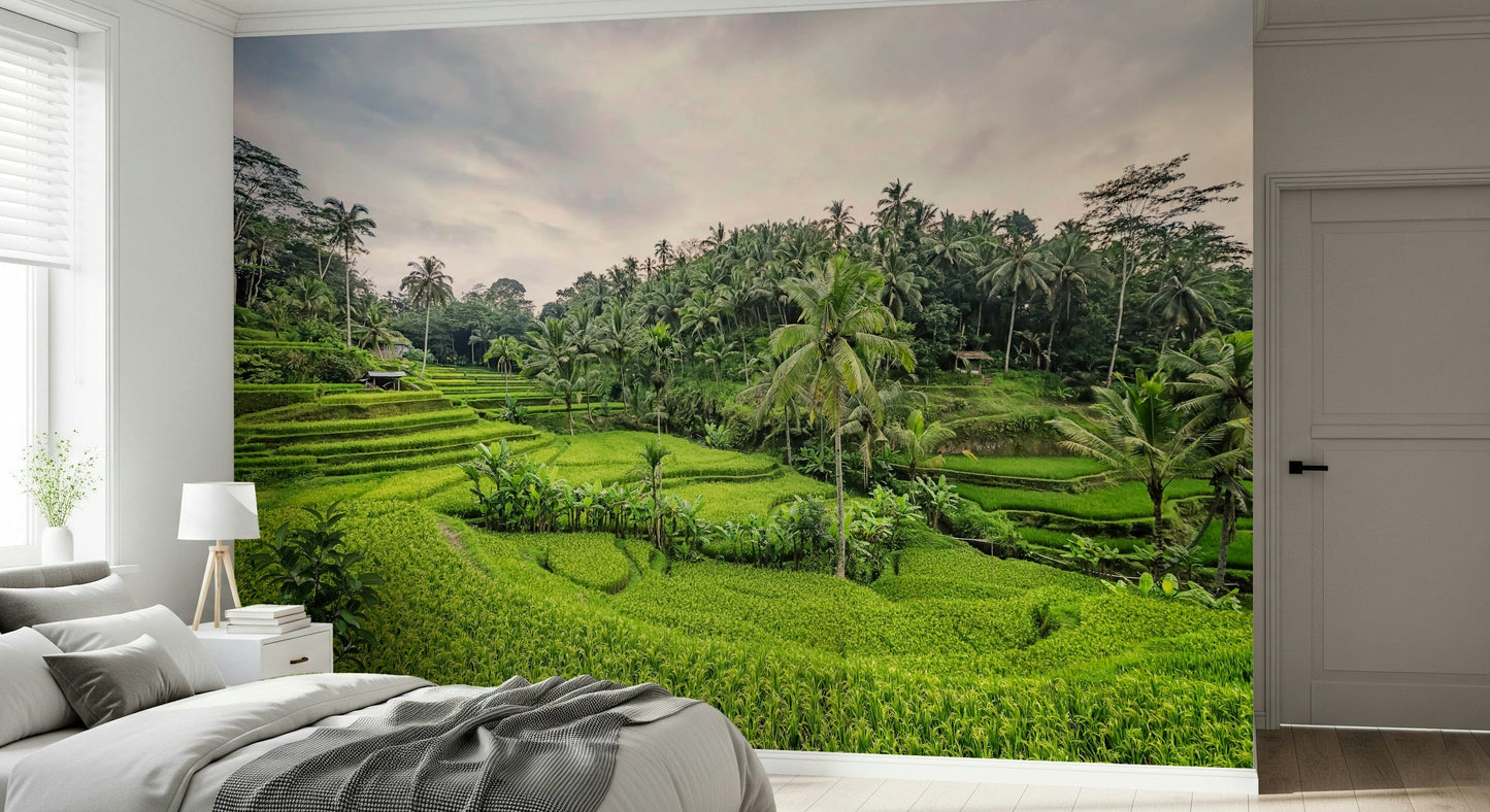 Spectacular Bali Rice Terraces field home decor wall graphic.