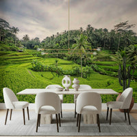 Beautiful Bali Rice Terraces greenery office wall decoration.
