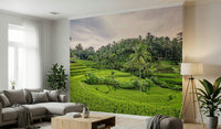 Amazing tiered Bali Rice Terraces design interior wall decor.