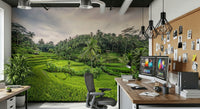Calm Bali Rice Terraces scene permanent wallpaper product.