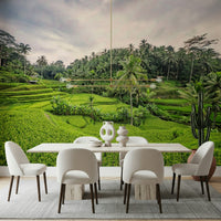 Beautiful Bali Rice Terraces greenery office wall decoration.