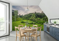 Vast Bali Rice Terraces plantation peel and stick artwork.