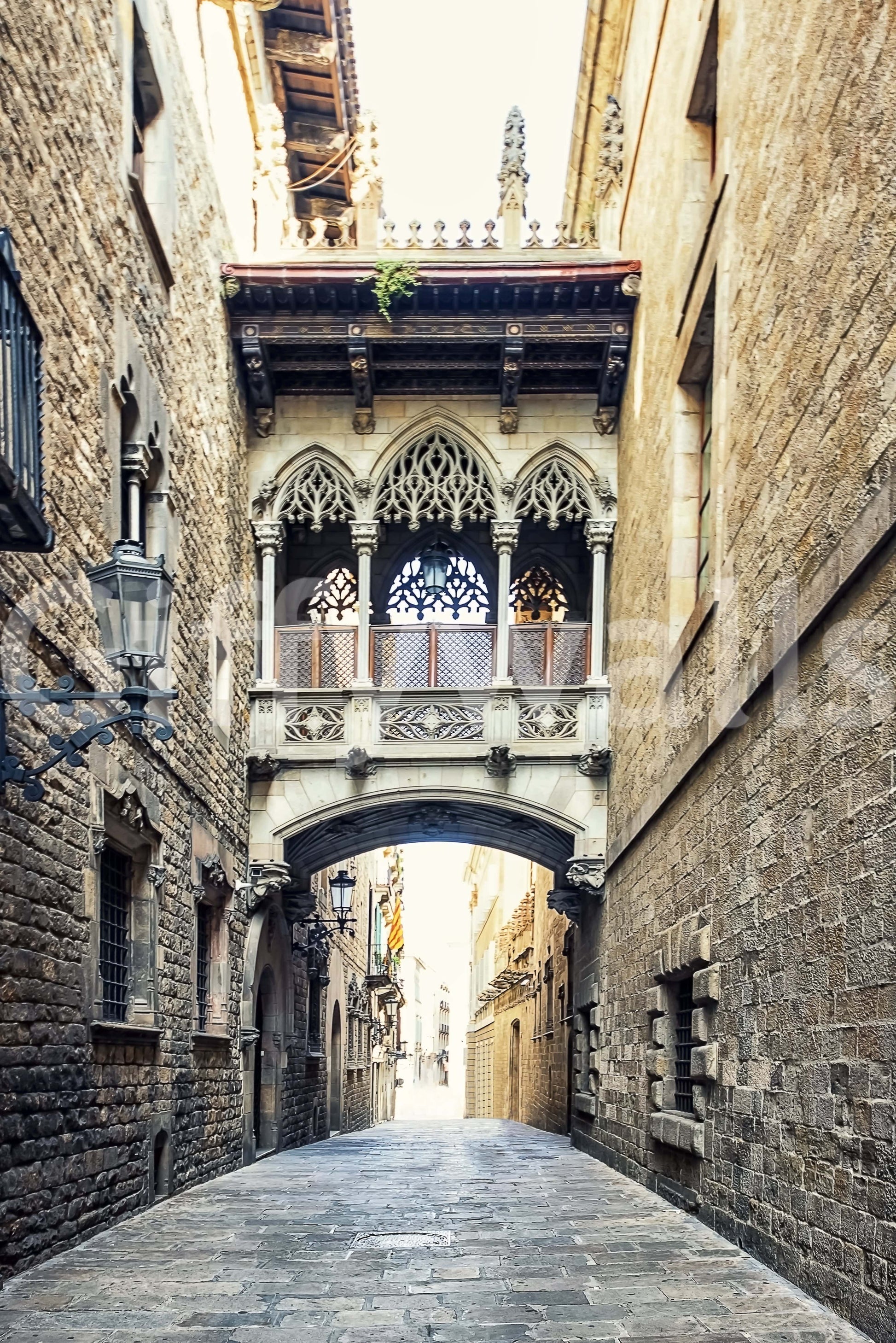 Cathedral bridge Gothic Quarter Archway textured stonework wall decor.