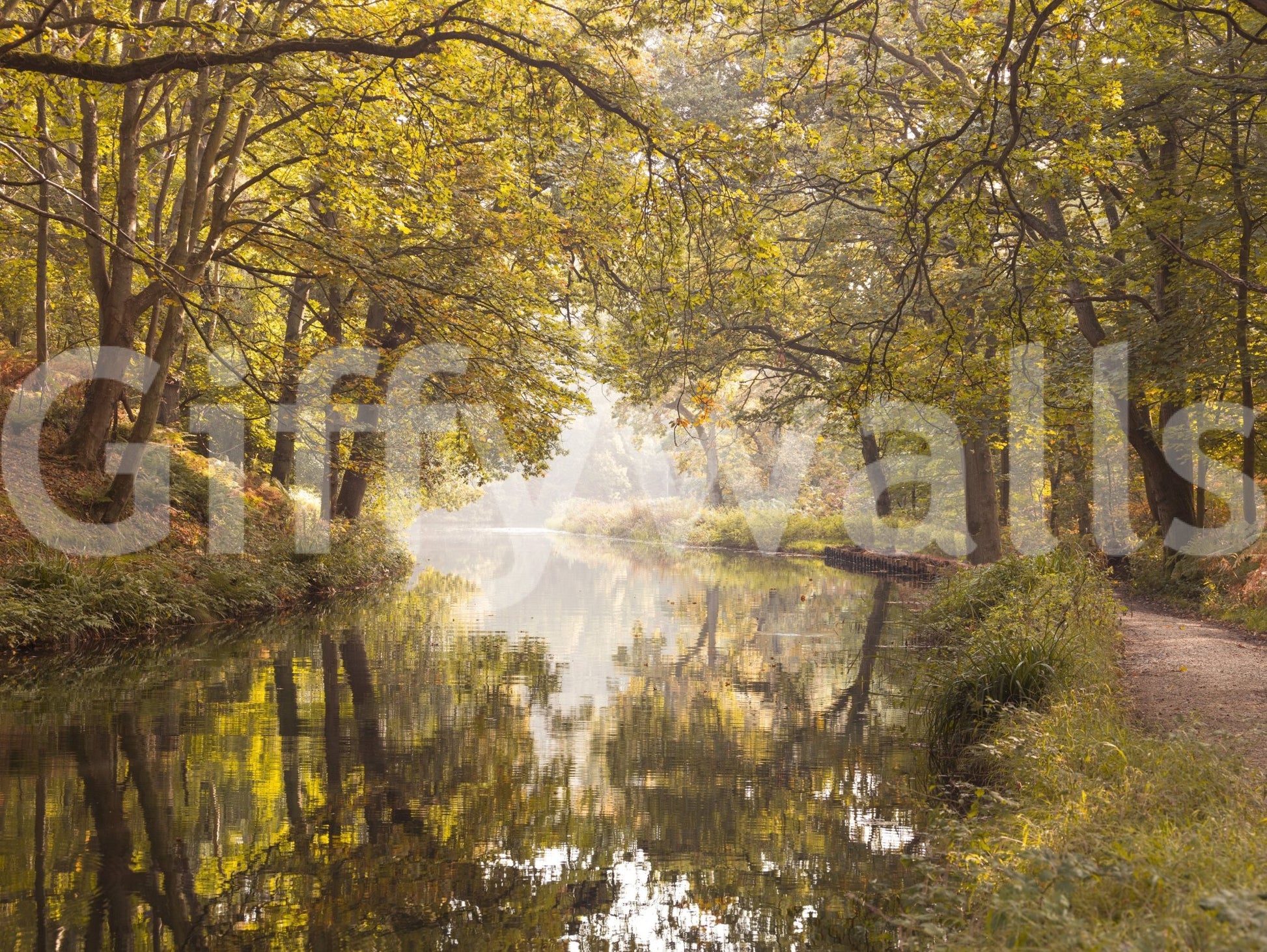 Soft golden foliage canal mural
