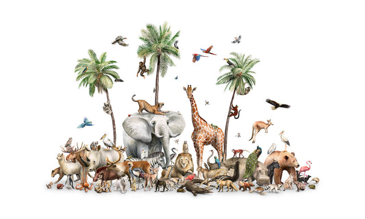 Giungla safari animale uccelli sfondi murale