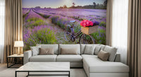 Wall mural print, Bicycle in a Lavender Field, dreamy summer field atmosphere.