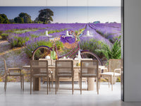Bicycle in Lavender field Wall Mural