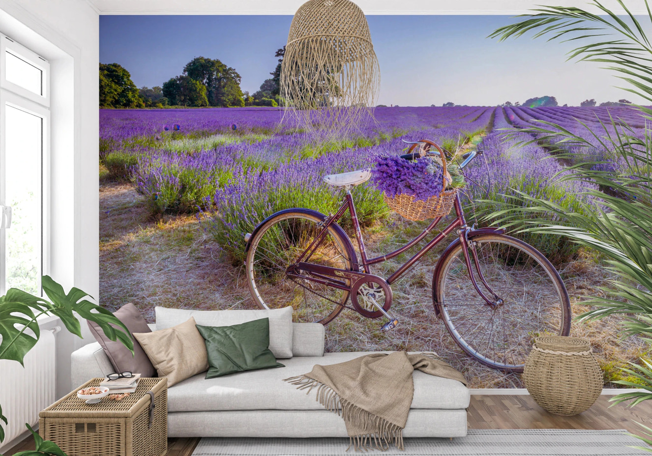 Bicycle in Lavender field Wall Mural