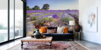 Bicycle in Lavender field Wall Mural