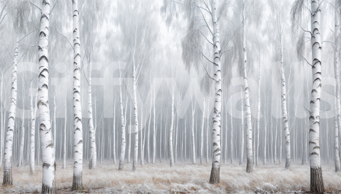 Birch Whispers Wall Mural in living room, delicate birch trunks, clean feature wall look