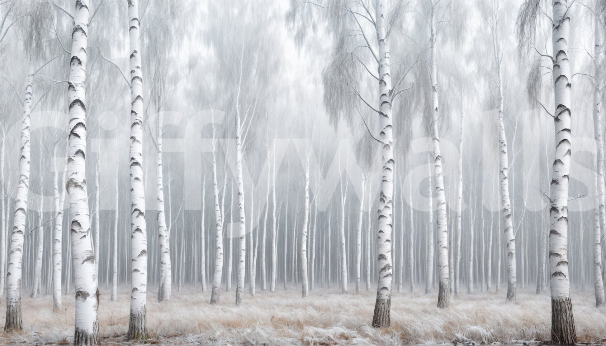 Birch Whispers Wall Mural in living room, delicate birch trunks, clean feature wall look