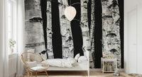 Stunning woods mural showcasing vertical birch trunks in monochrome.