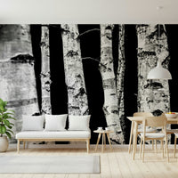 Nature-inspired Monochrome Woods wallpaper with distinct white bark.
