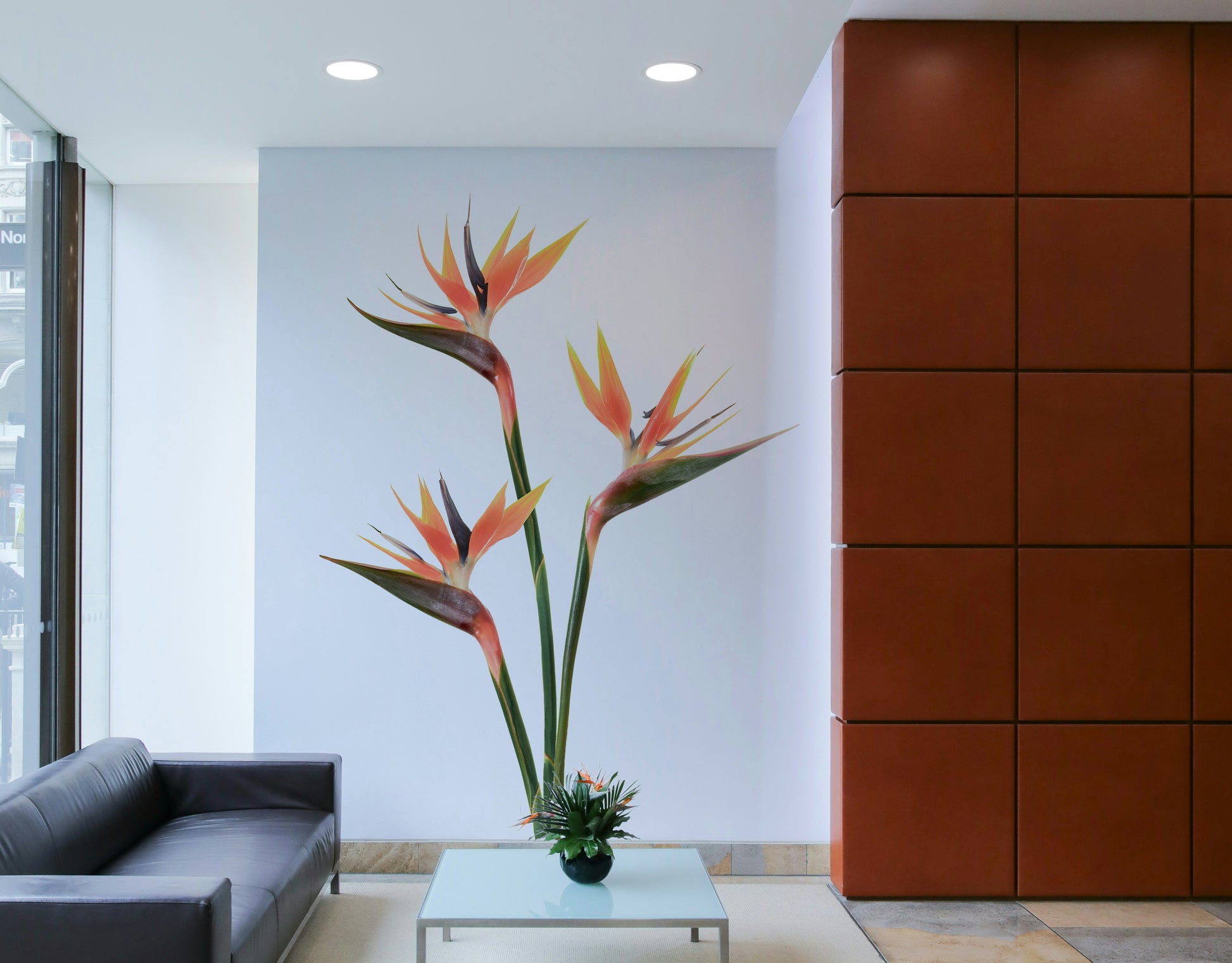 Vibrant Bird of Paradise Bloom mural for a lively home atmosphere.

