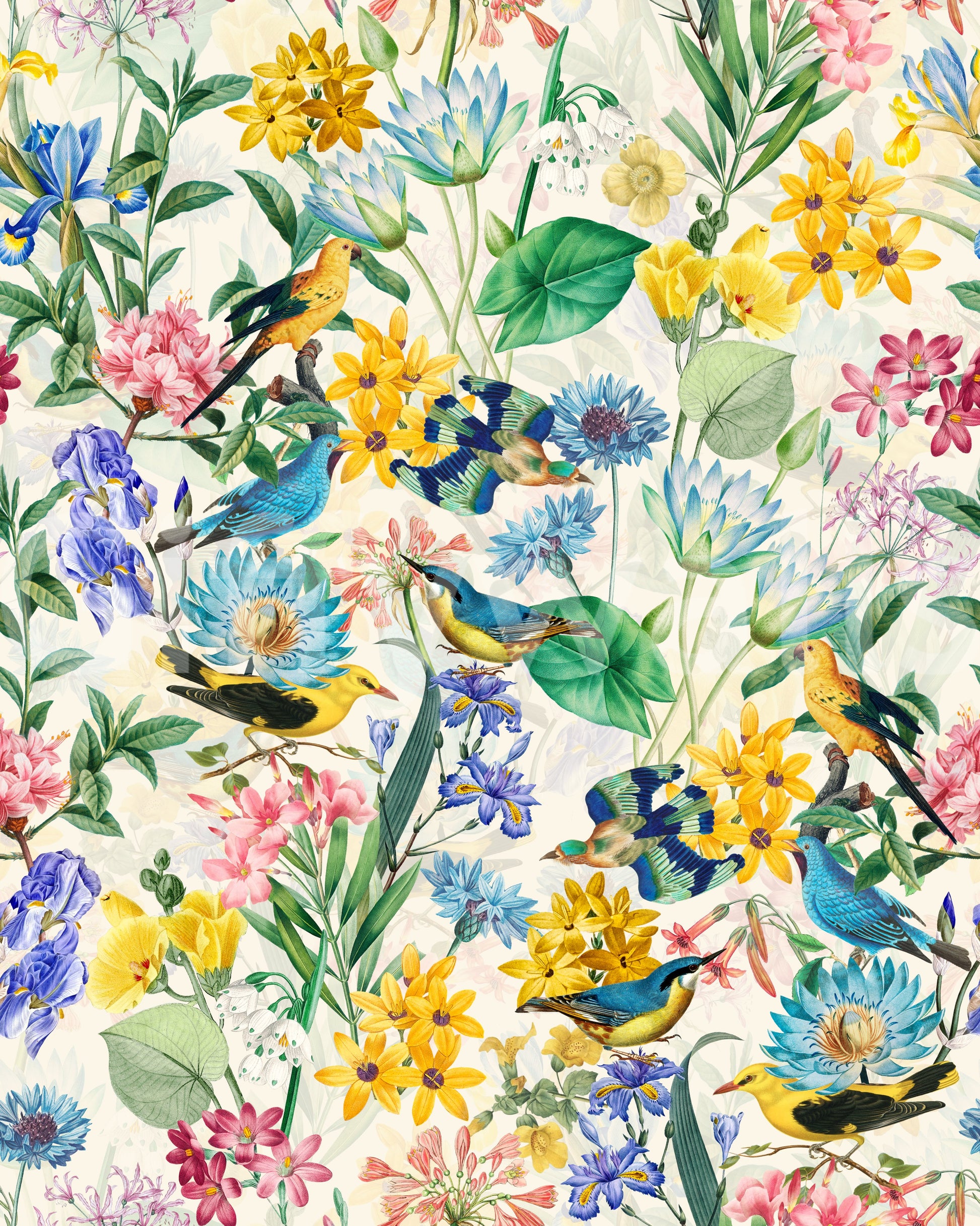 Floral and bird wallpaper creating a cheerful, vibrant atmosphere

