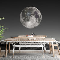 Black and White Moonlight Wallpaper Mural - Giffywalls