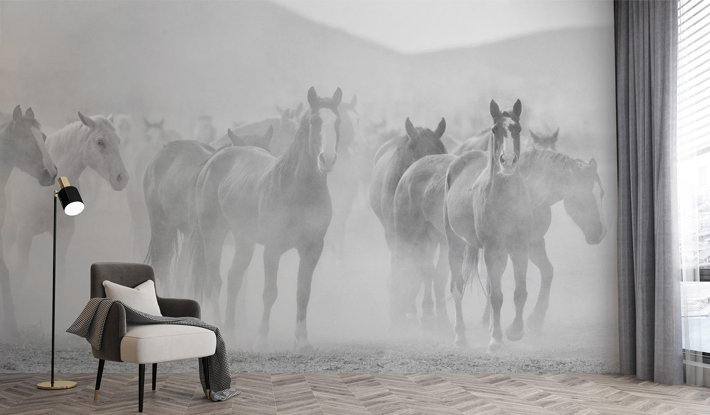 Elegant equestrian black and white wall murals
