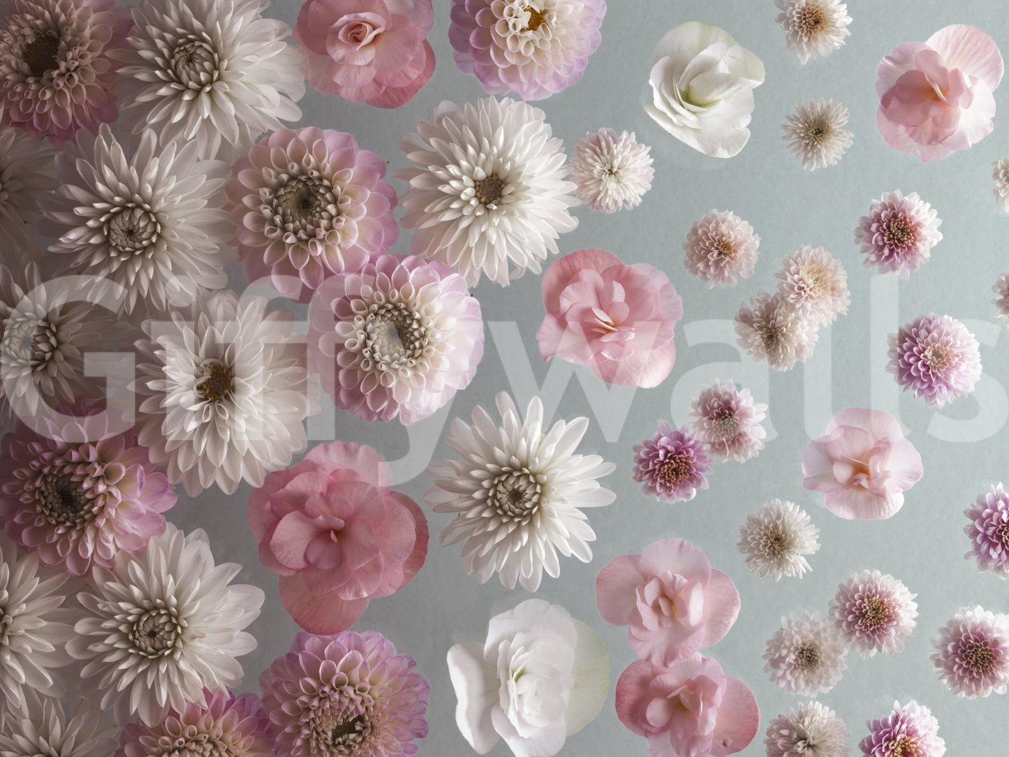 Bloom Bliss Wall Mural