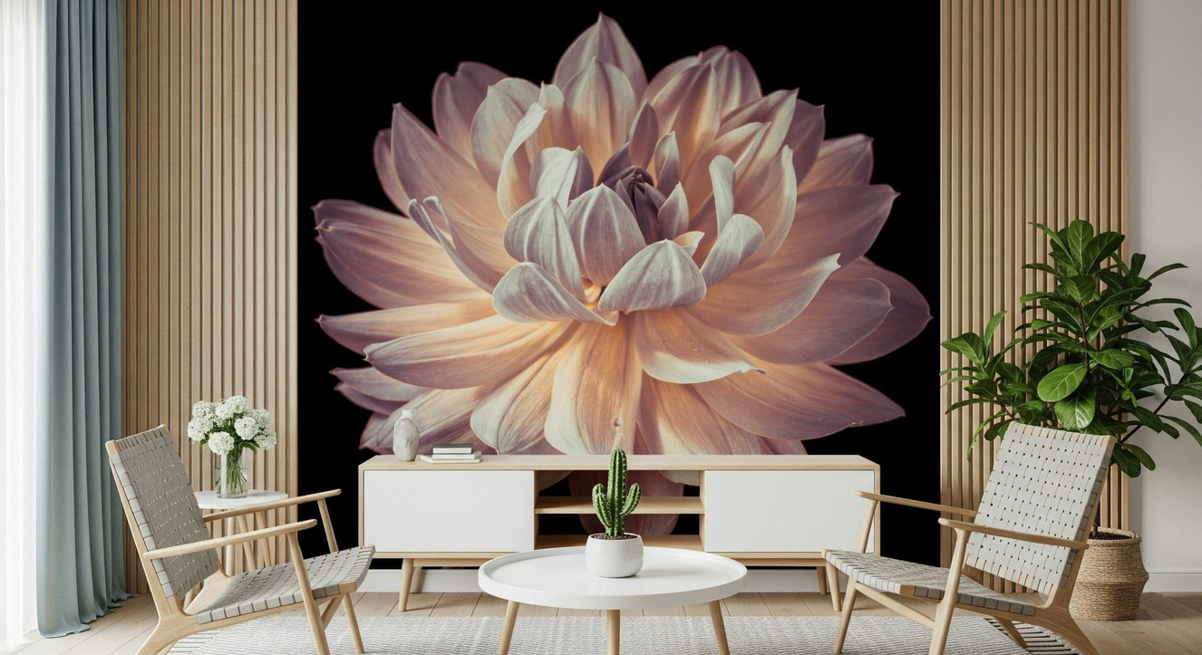 Blooming dahlia wall mural featuring a stunning close-up of layered petals in soft pastel hues.