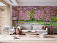 Vibrant floral Blossom Park hallway Wall Mural with springtime scenery.