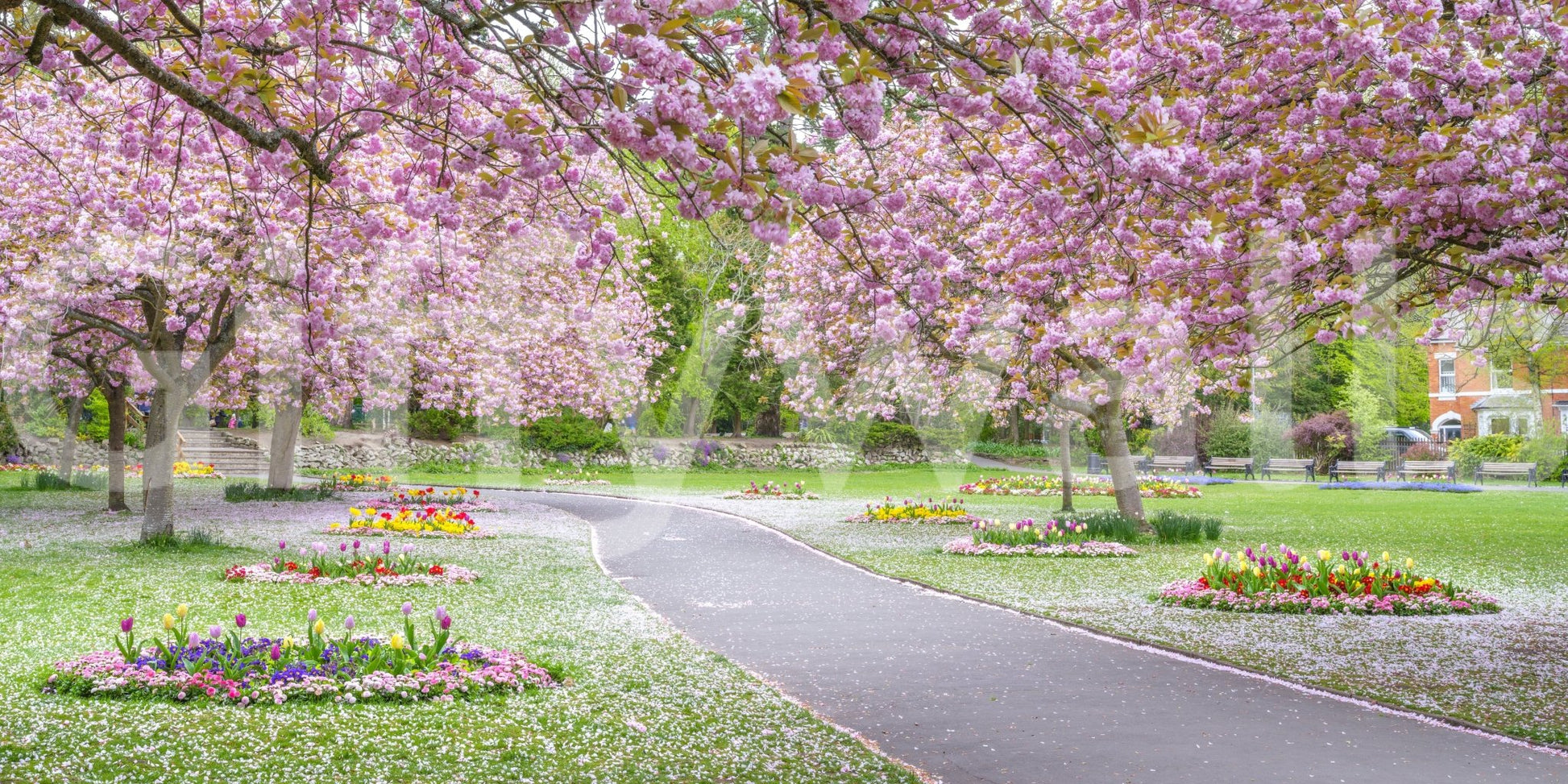 Colorful spring blossoms on this Blossom Park Wall Mural.