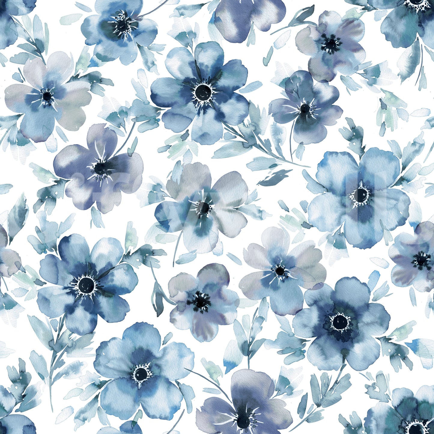Blue Flowers Anemones  Wallpaper⁠