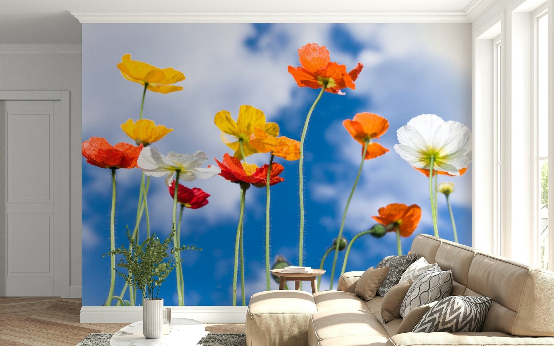 Tall poppies wall mural with blue sky backdrop