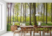 Wooded area Bluebell Woods premium wall mural lush green canopy