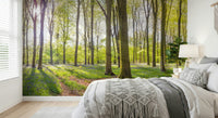 Bluebell Woods wallpaper for walls beautiful purple flower carpet