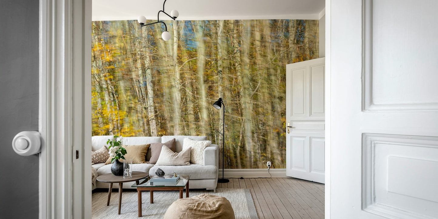 Colorful fall trees wall mural
