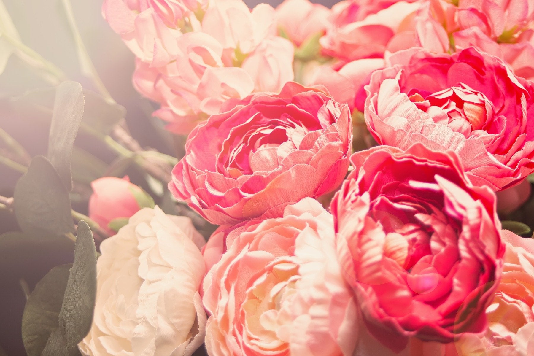 Blooming Pink Flowers Wall Mural