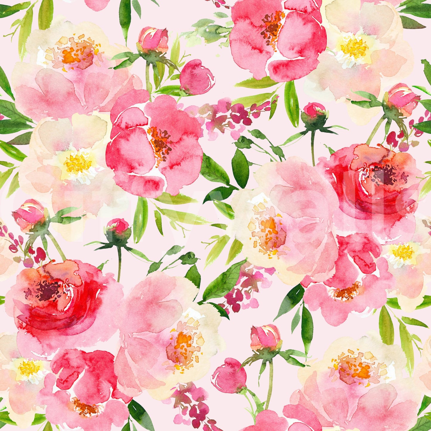 Blush Bloom Watercolor Wallpaper⁠