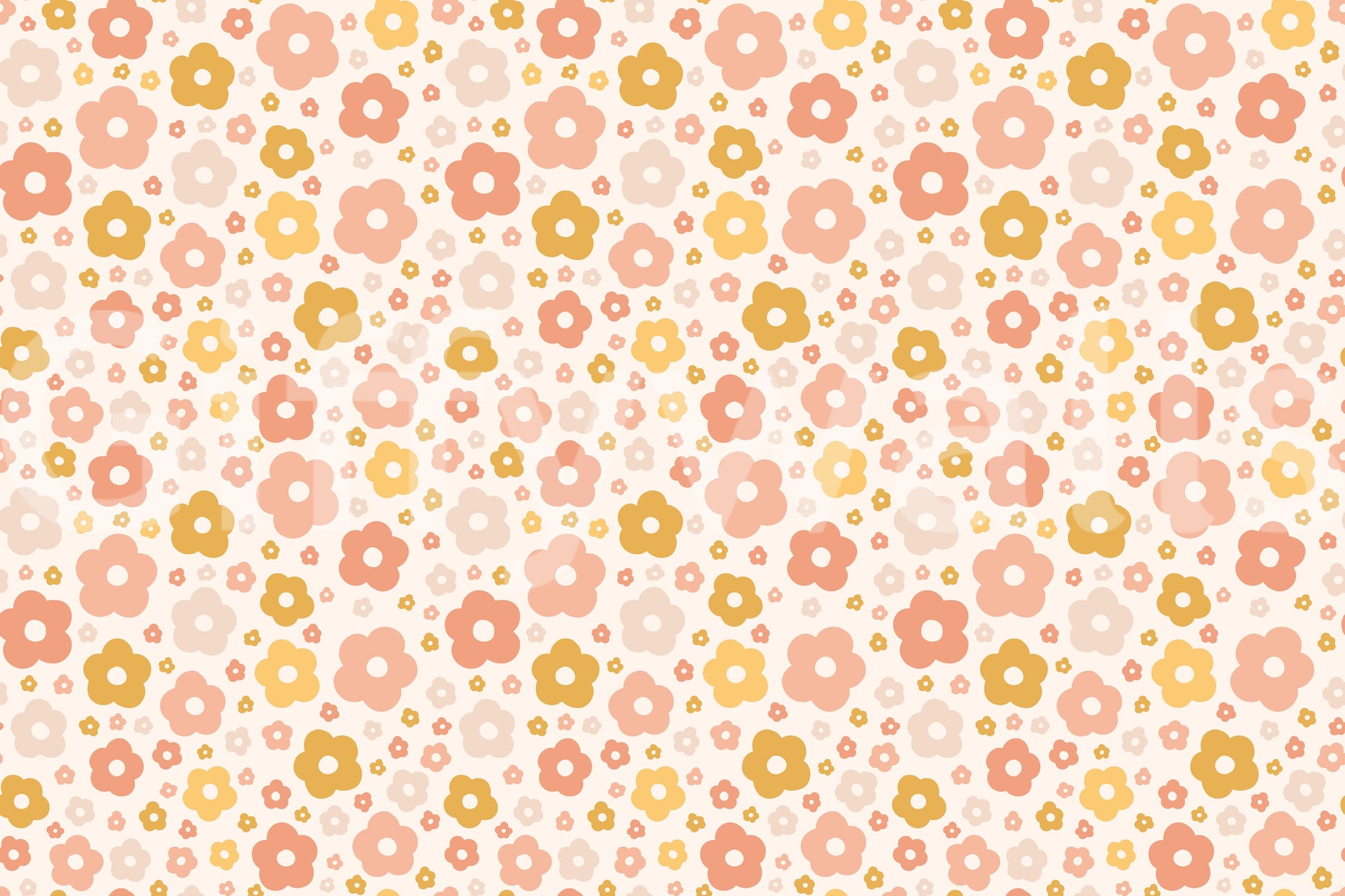 Peach and yellow daisy wallpaper

