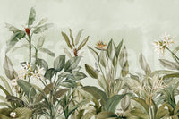 Focus on natural forms and gentle light.

