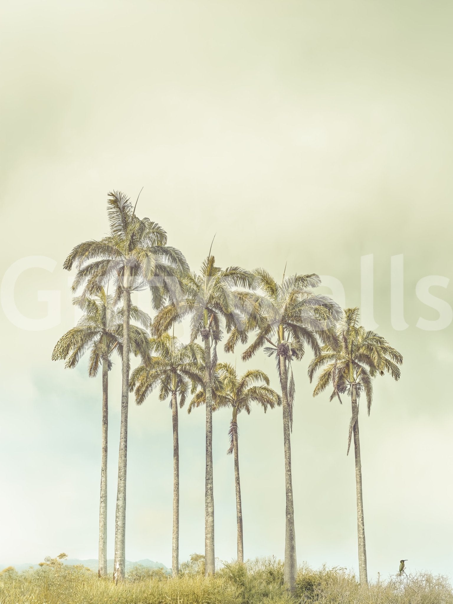 Breezy Palms Wall Mural with pale yellow and beige foliage tones.