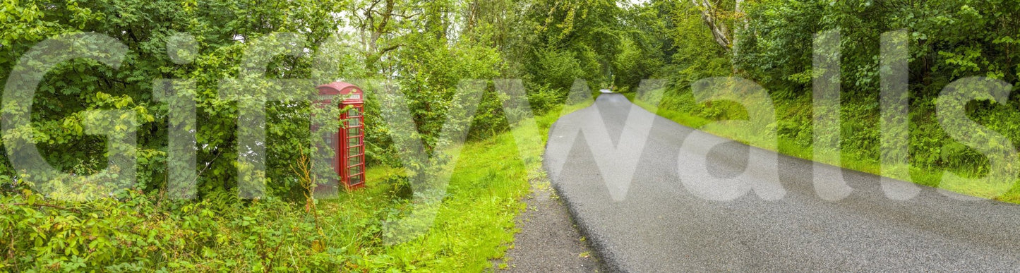 Decorative wall mural of a serene country road leading through deep forest. British Charm.