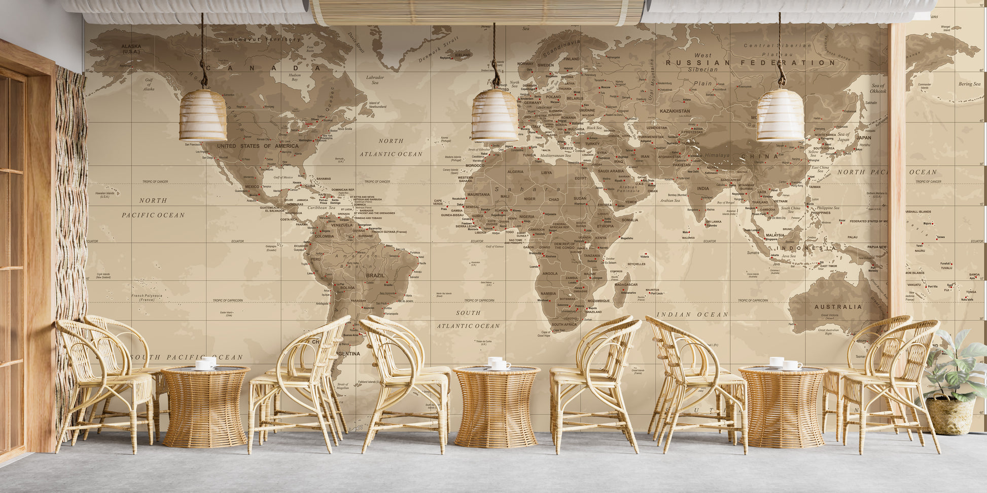 Neutral brown world map wallpaper decor
