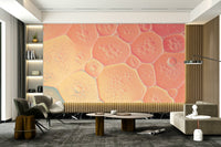 Soft gradient wallpaper with abstract bubble shapes.

